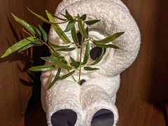 -江南足纪·影院足道·轻奢SPA(红山6979店)