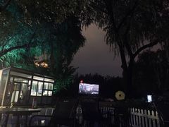 -枫花园汽车电影院(朝阳公园店)