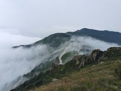 -白草畔自然风景区