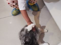 -平行世界·猫咖(首经贸店)