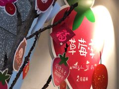 -莓超疯