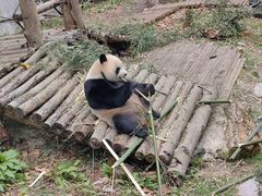 -黔灵山公园