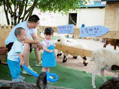 -HERRE·FARM 赫尔露营农场·团建聚会包场