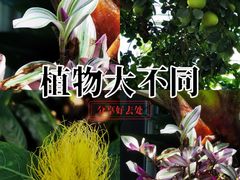 -国家植物园南园