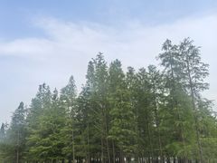 -白鹭湾湿地公园