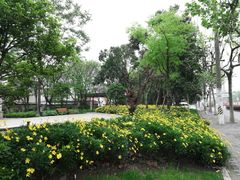 -上海龙吴水胜海发市场