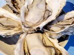 -千岛蚝高压锅生蚝·人参火锅(白云万达店)