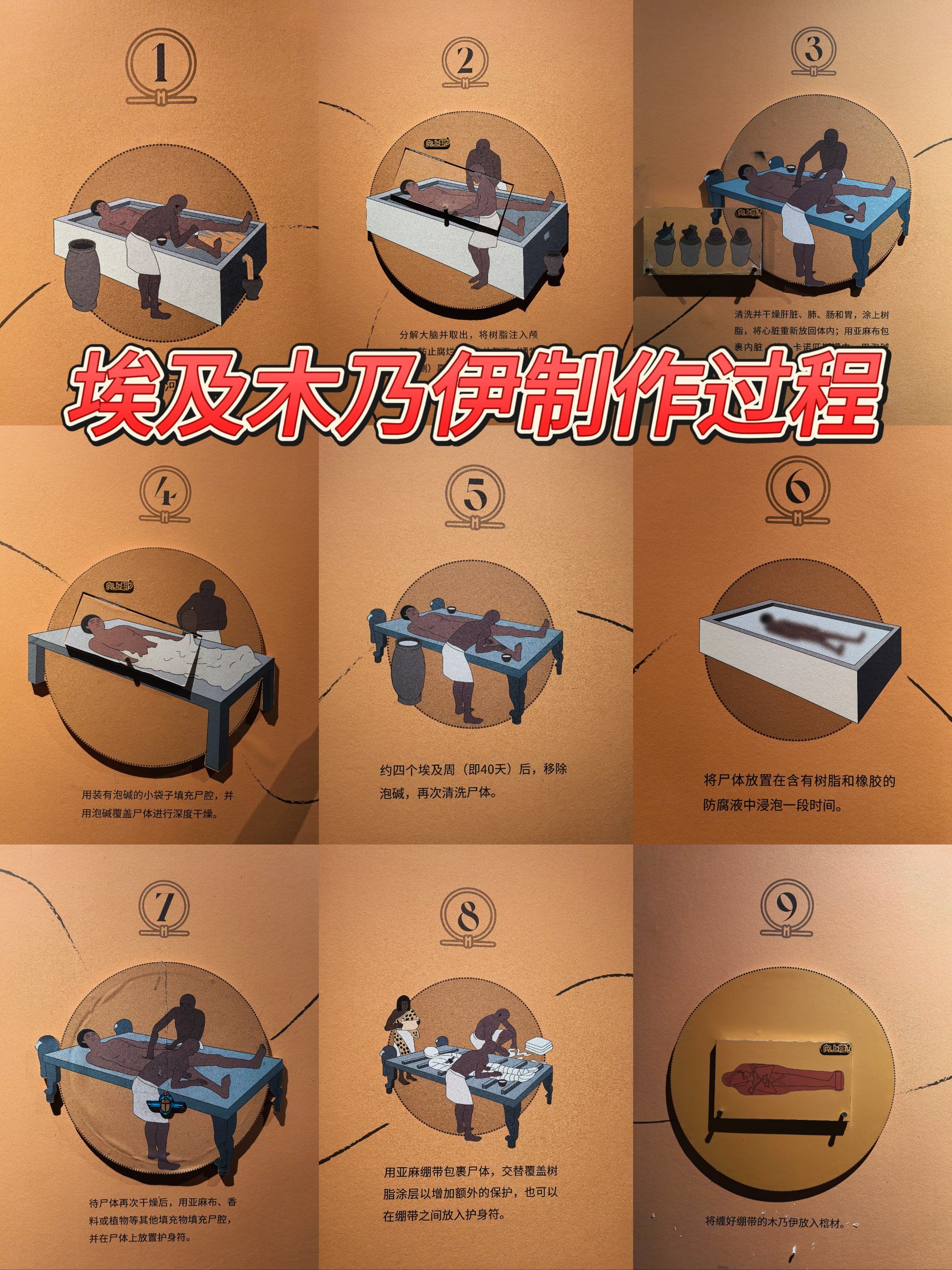 赶紧收藏《埃及木乃伊制作过程》,回家给孩子讲