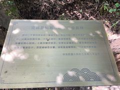-北山公园