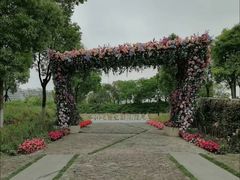 -春花秋色城市公园