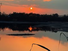 -温江公平红烧兔(总店)