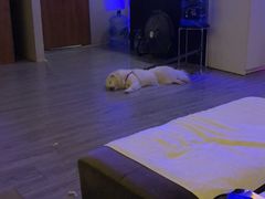 -鸿鹄足浴店(东门店)