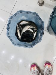 -巡鱼道·室内垂钓·渔具店
