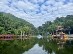 -西双版纳原始森林公园