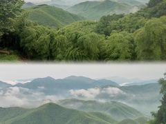 -莫干山风景区