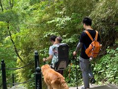 -王顺山国家森林公园