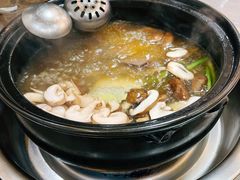 -乳仔牛牦牛汤锅 烤羊排(松潘古城店)