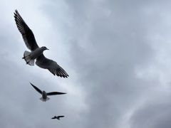-海埂大坝