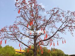 -梵天禅寺