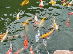 -镇江中国醋文化博物馆