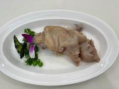 -丁老爷子苏香圆