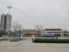 -德州站