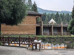 -武陵山森林公园