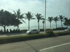 -野狸岛