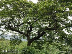 -金堂县云顶石城风景区