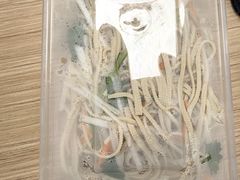 -鸿毛饺子(紫竹桥店)