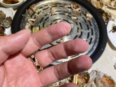 -蓝珊甄选海鲜自助·火锅大排档(近阿那亚店)