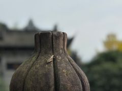 -凤栖山