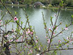 -北湖公园