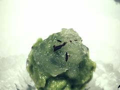 牛油果燕窝-子福慧(虹桥店)