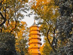 -灵谷景区