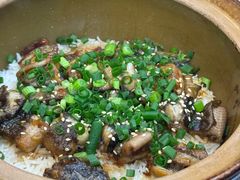 -红星光发煲仔饭(文海店)