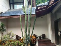 -福建鲤鱼洲酒店