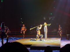 -珠海横琴长隆《卡卡虎奇遇记》