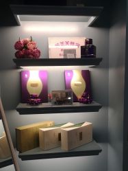 -静博士养生美容连锁