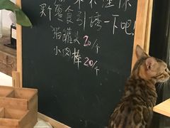-吉丁鸟咖·异宠·寄养