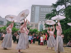 -嘉定紫藤园