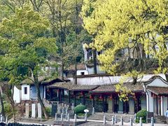 -严子陵钓台(富春江小三峡)