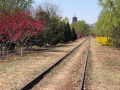 -永定河休闲森林公园