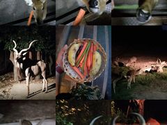 -清迈夜间动物园