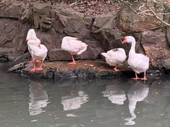 -兰亭风景区