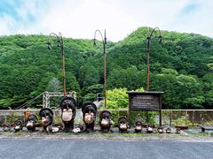 -岚山嵯峨野观光小火车