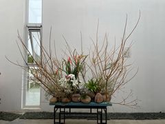 -石家庄市植物园