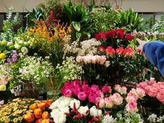 -T11生鲜超市(朝阳公园店)