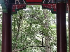 -灵谷景区