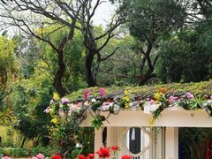 -人民公园(罗湖区)